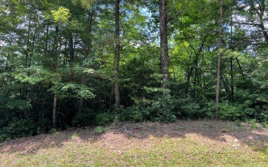 Hiwassee River - Clay County Lot For Sale in Hayesville North Carolina
