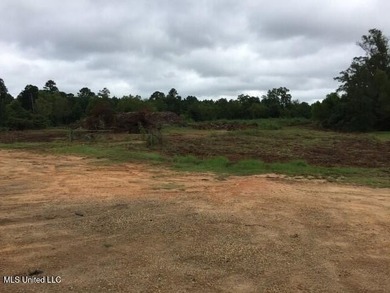 Commercial acreage in high traffic area on a major US Highway 80 - photo 2