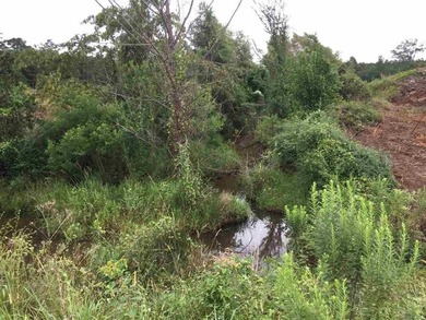 Commercial acreage in high traffic area on a major US Highway 80 - photo 3