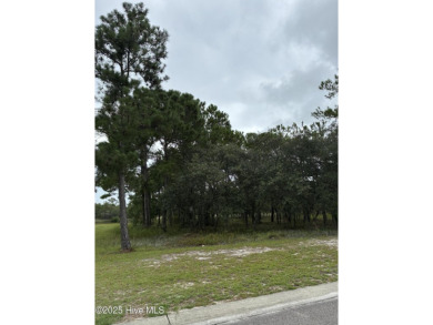 Lake Lot For Sale in Bolivia, North Carolina