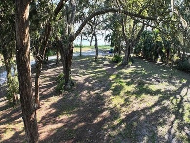 Rare opportunity to own land on sought-after Live Oak Island - photo 3