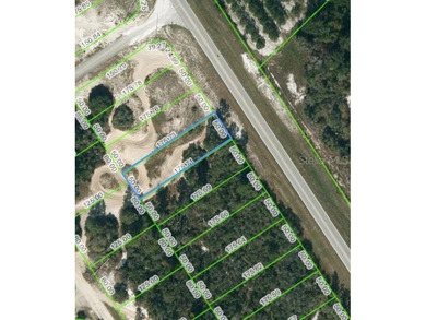 Lake Grassy Lot For Sale in Lake Placid Florida