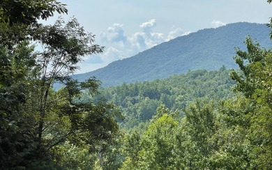 ACREAGE IN THE NORTH CAROLINA MOUNTAINS!! This beautifully - Lake Lot For Sale in Hayesville, North Carolina
