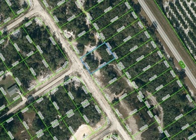 Lake Grassy Lot For Sale in Lake Placid Florida