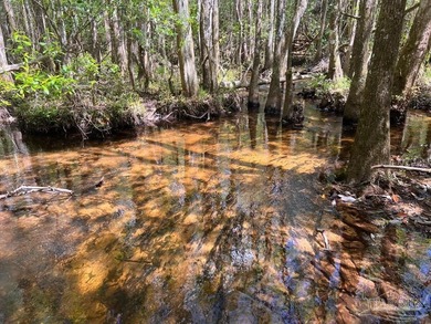 Discover the beauty of NatureWalk at Pond Creek, one of the most - photo 2