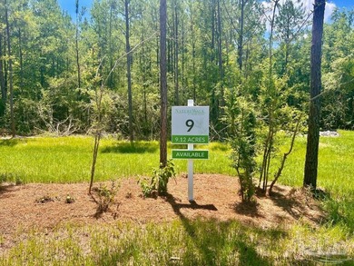 Discover the beauty of NatureWalk at Pond Creek, one of the most - photo 7