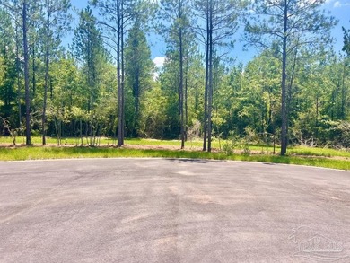 Discover the beauty of NatureWalk at Pond Creek, one of the most - photo 10