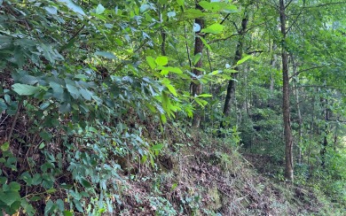 ACREAGE IN THE NORTH CAROLINA MOUNTAINS!! This beautifully - Lake Lot For Sale in Hayesville, North Carolina