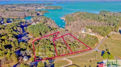 Lake Lot For Sale in Hartwell, Georgia