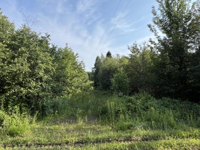 Lake Superior - Alger County Lot For Sale in Grand Marais Michigan