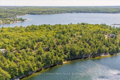 Lake Lot For Sale in Mcdougall,
