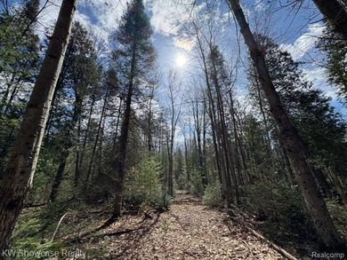 (private lake, pond, creek) Acreage For Sale in Houghton Lake Michigan