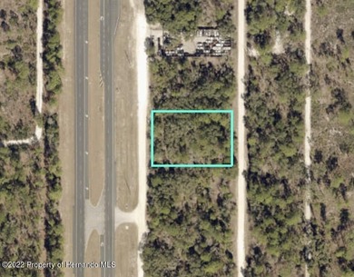 Great opportunity to own a zoned C2 commercial lot on US N 19 - photo 8