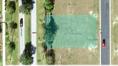 Lake Alfred Lot For Sale in Lake Alfred Florida