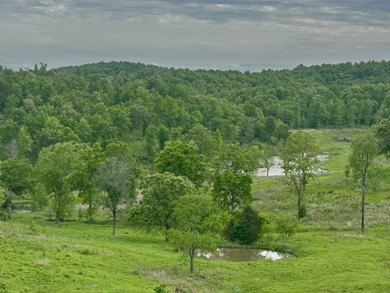 Luxury riverfront living on the Spring River-this beautifully - photo 39