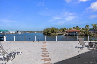 Located on the coveted spring-fed headwaters of Crystal River - photo 45