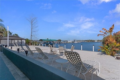 Located on the coveted spring-fed headwaters of Crystal River - photo 46