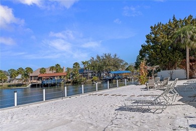 Located on the coveted spring-fed headwaters of Crystal River - photo 47