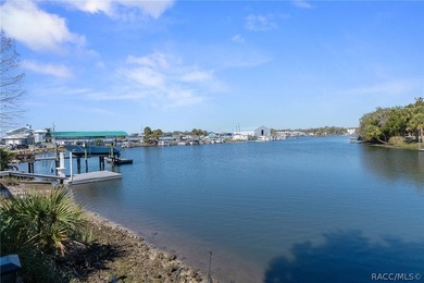 Located on the coveted spring-fed headwaters of Crystal River - photo 48