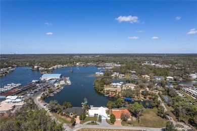 Located on the coveted spring-fed headwaters of Crystal River - photo 50