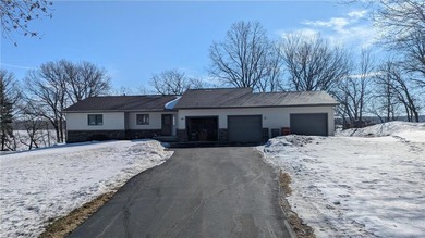 Chippewa Lake Home For Sale in Brandon Twp Minnesota