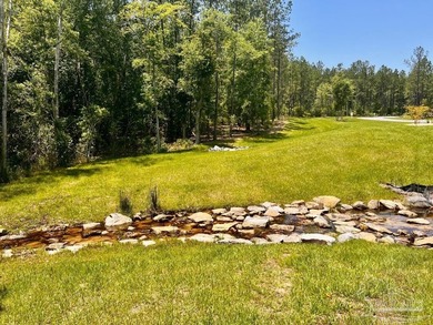 Discover the beauty of NatureWalk at Pond Creek, one of the most - photo 6