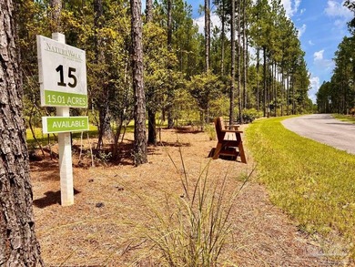 Discover the beauty of NatureWalk at Pond Creek, one of the most - photo 8