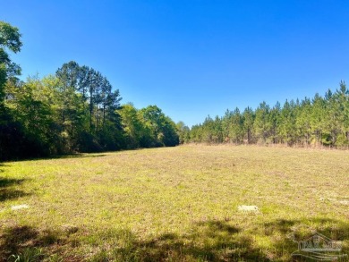 (private lake, pond, creek) Acreage For Sale in North Pace Florida