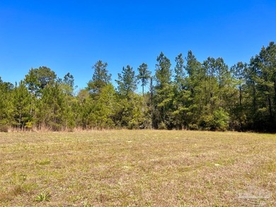 Discover the beauty of NatureWalk at Pond Creek, one of the most - photo 6