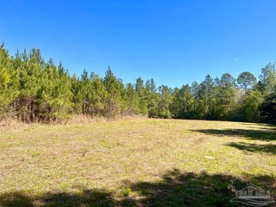 Discover the beauty of NatureWalk at Pond Creek, one of the most - photo 7