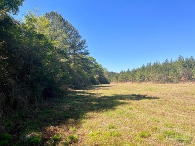 Discover the beauty of NatureWalk at Pond Creek, one of the most - photo 8