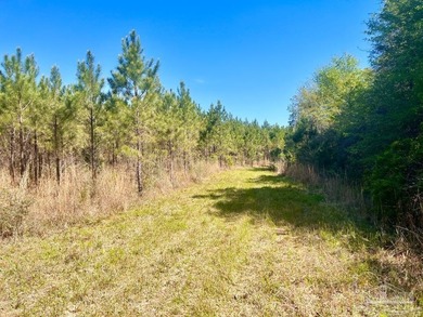 Discover the beauty of NatureWalk at Pond Creek, one of the most - photo 10