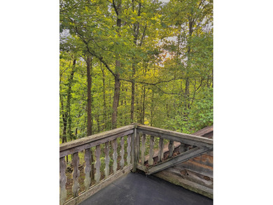 Discover true eastern Kentucky authenticity with this gorgeously - photo 27