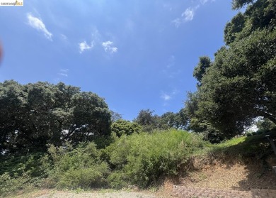 Rare opportunity to build your dream home on a private, nearly - photo 1
