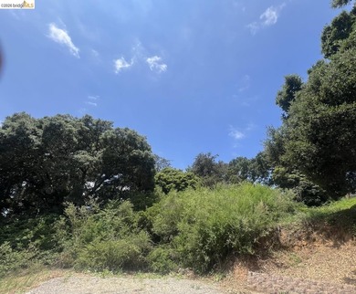 Rare opportunity to build your dream home on a private, nearly - photo 6