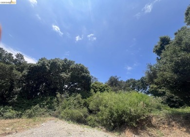 Rare opportunity to build your dream home on a private, nearly - photo 7