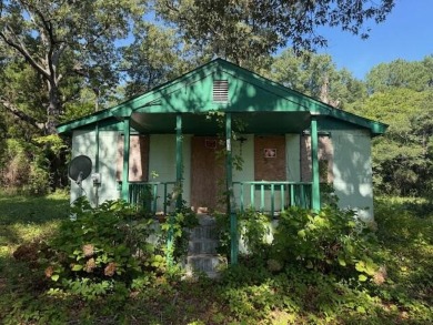 Lake Marion Home For Sale in Eutawville South Carolina