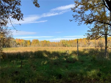 Lake Acreage For Sale in Cedar Lake Twp, Minnesota