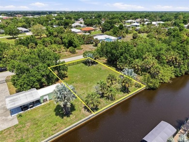 DIRECT WATERFRONT HOMESITE | PALM SHORES | PEACE RIVER ACCESS - photo 4