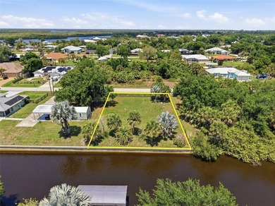 DIRECT WATERFRONT HOMESITE | PALM SHORES | PEACE RIVER ACCESS - photo 5