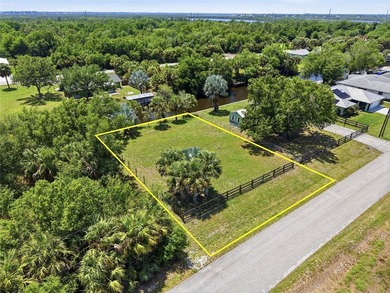 DIRECT WATERFRONT HOMESITE | PALM SHORES | PEACE RIVER ACCESS - photo 7