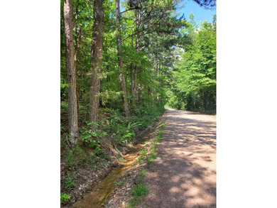 Approximately 64 wooded acres with county road frontage - photo 5