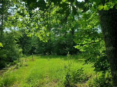 Approximately 64 wooded acres with county road frontage - photo 6