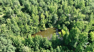Approximately 64 wooded acres with county road frontage - photo 7