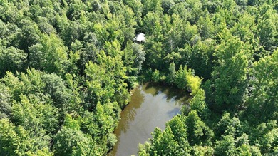 Approximately 64 wooded acres with county road frontage - photo 8