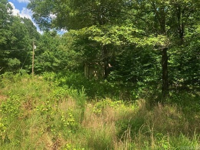 Approximately 64 wooded acres with county road frontage - photo 10