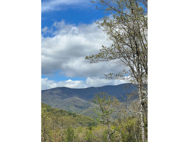 Large lot with great building site and beautiful views of the - photo 1