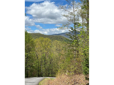 Large lot with great building site and beautiful views of the - photo 2