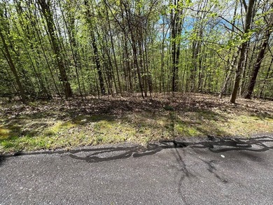 Large lot with great building site and beautiful views of the - photo 3