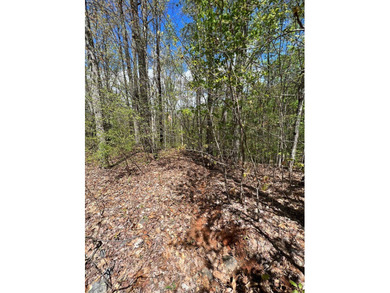 Large lot with great building site and beautiful views of the - photo 5